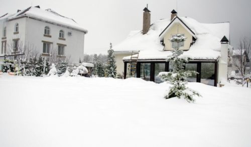 snowy-homes-with-pine-trees-around