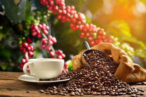 shade-grown coffee cherries, roasted coffee beans, cup of coffee